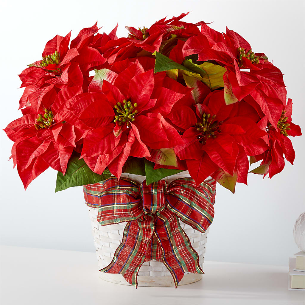 Happiest Holidays Poinsettia – L & M FLOWER SHOP, Canonsburg PA
