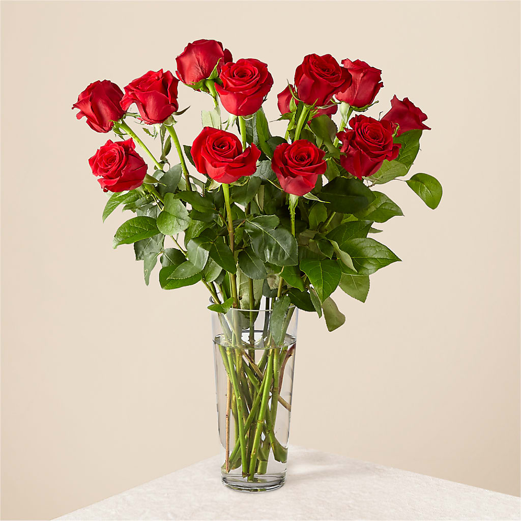 Long Stem Red Rose Bouquet – L & M FLOWER SHOP, Canonsburg PA