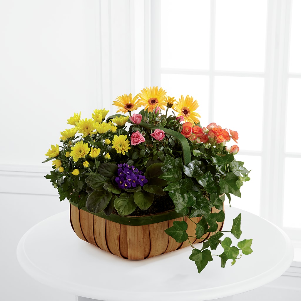 Gentle Blossoms Basket – L & M FLOWER SHOP, Canonsburg PA