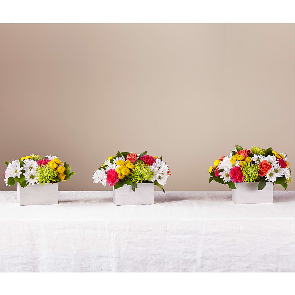 Sorbet Bouquet – L & M FLOWER SHOP, Canonsburg PA