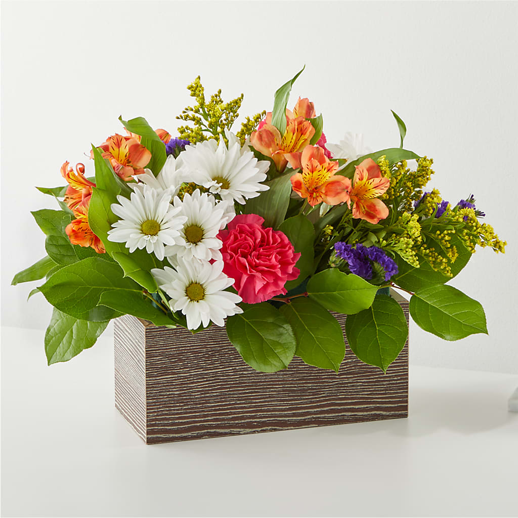 Oopsie Daisy Box Bouquet – L & M FLOWER SHOP, Canonsburg PA