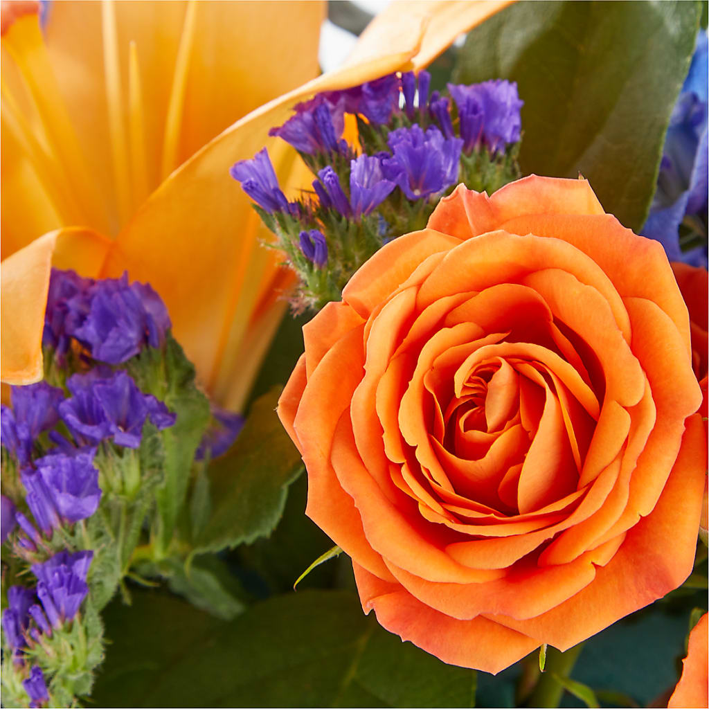 Radiant Citrus Box Bouquet – L & M FLOWER SHOP, Canonsburg PA