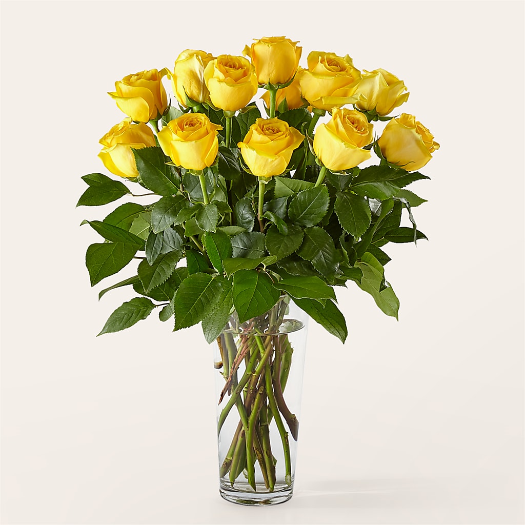 Long Stem Yellow Rose Bouquet – L & M FLOWER SHOP, Canonsburg PA