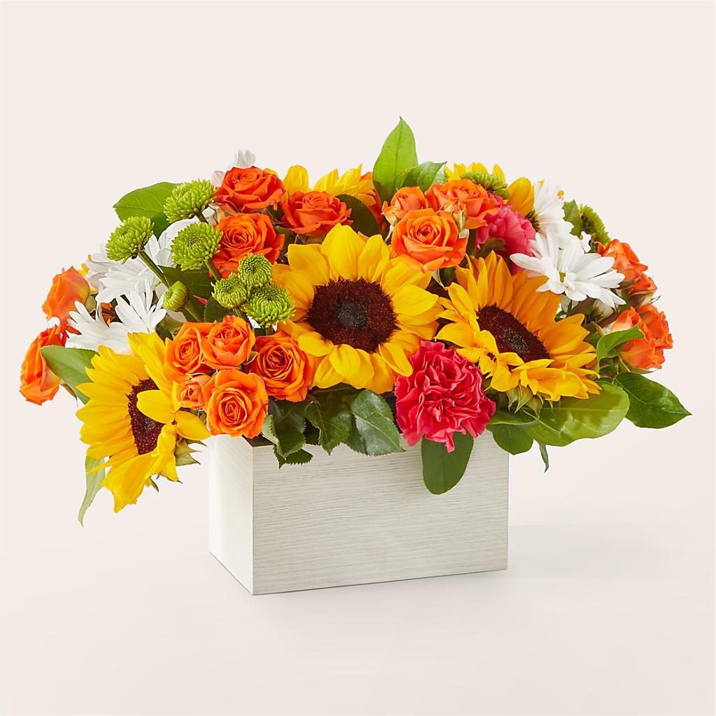 Sun-drenched Blooms Box Bouquet – L & M FLOWER SHOP, Canonsburg PA