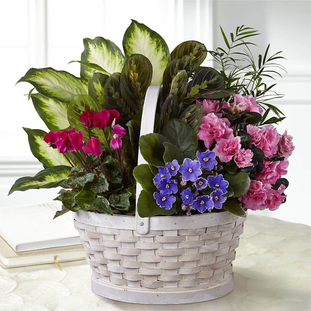 Peaceful Garden Planter – L & M FLOWER SHOP, Canonsburg PA