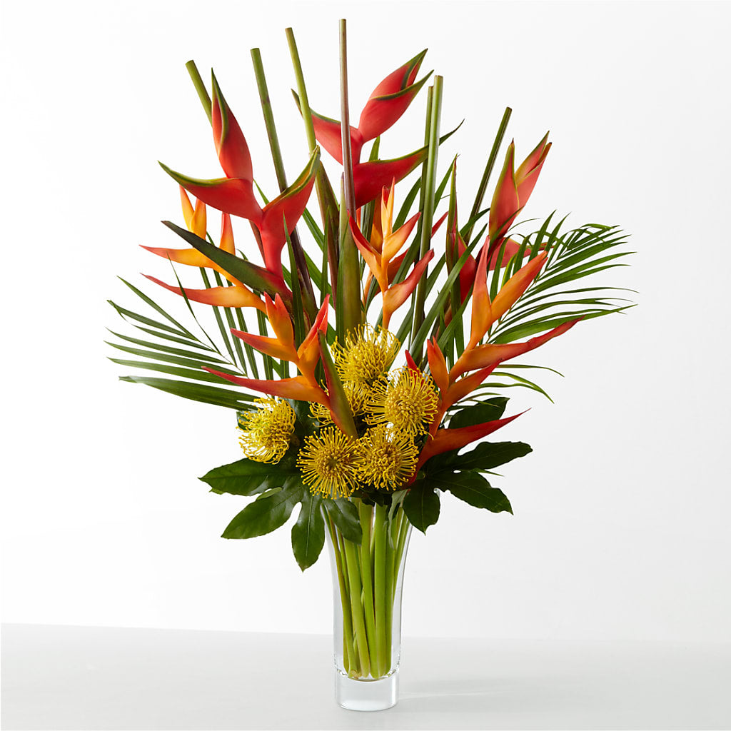 The Drama – L & M FLOWER SHOP, Canonsburg PA