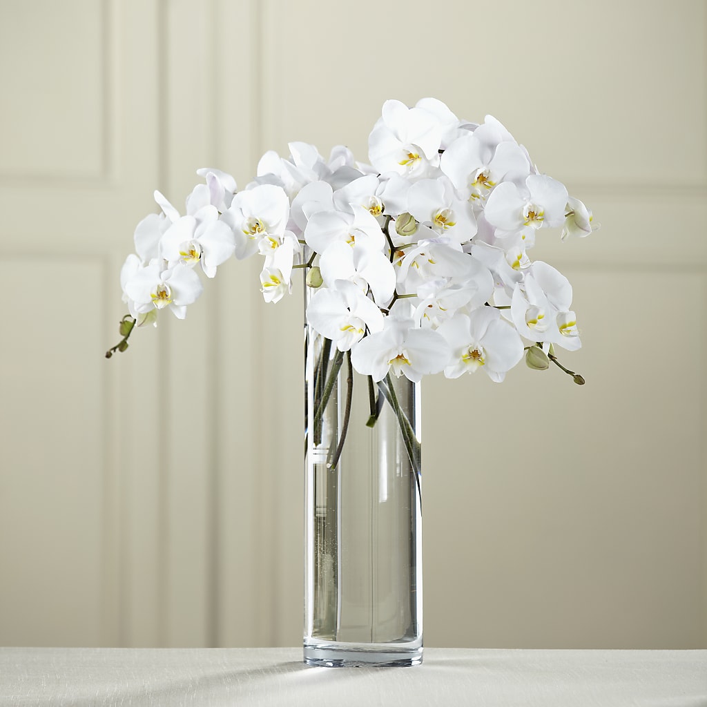 White Phalaenopsis Bouquet – L & M FLOWER SHOP, Canonsburg PA