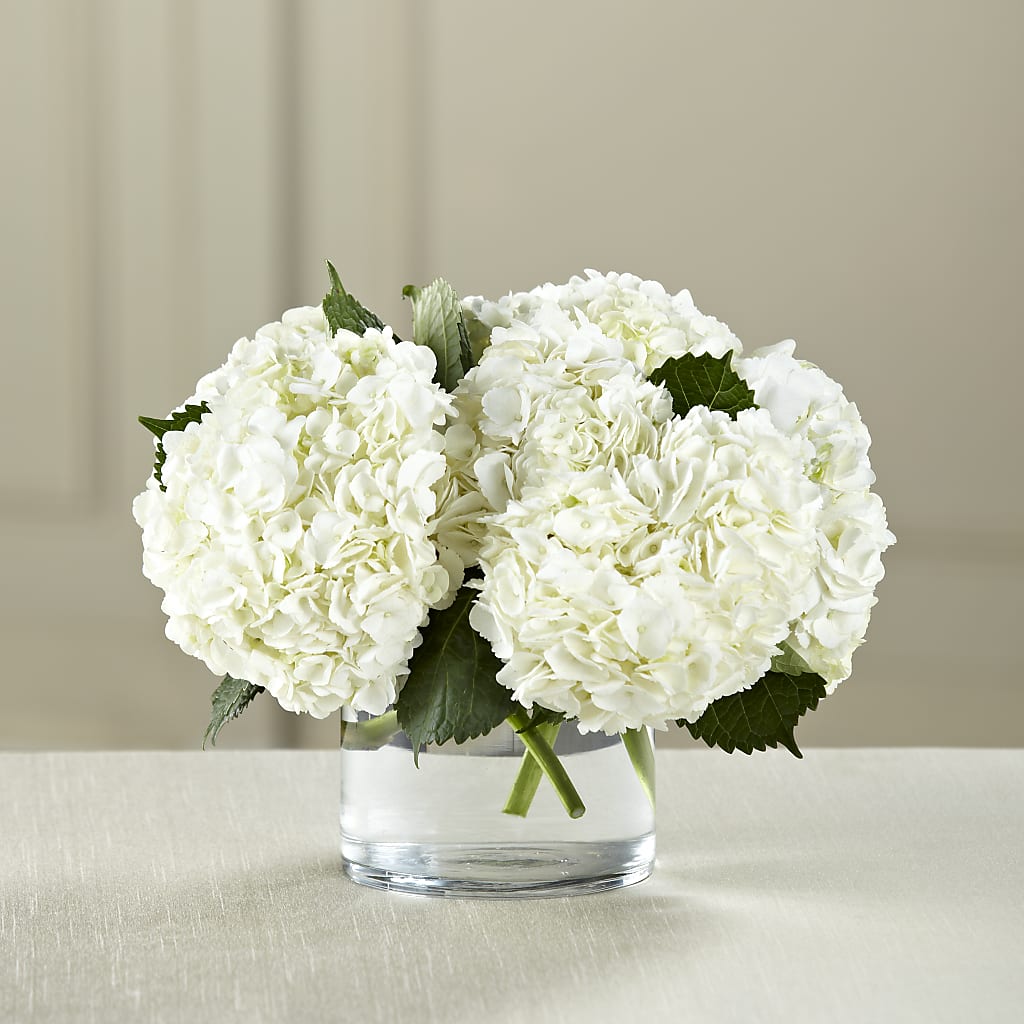 White Hydrangea Bouquet – L & M FLOWER SHOP, Canonsburg PA