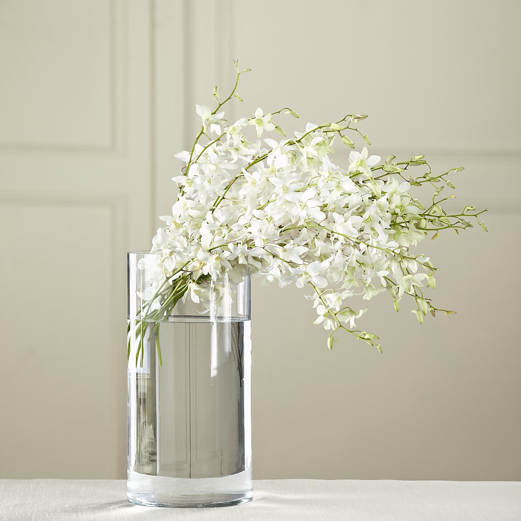 White Dendrobium Bouquet – L & M FLOWER SHOP, Canonsburg PA