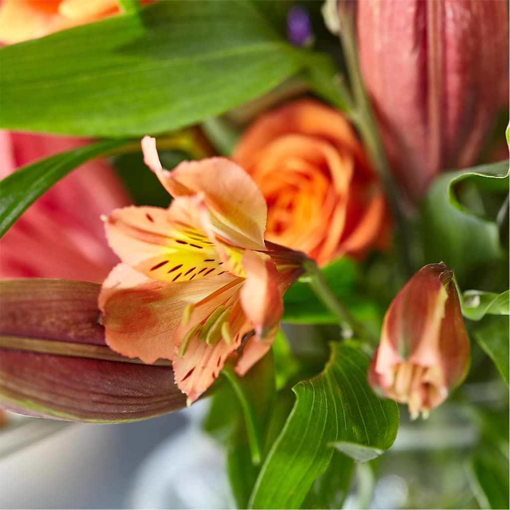 Bold & Bright – A Florist Original – L & M FLOWER SHOP, Canonsburg PA