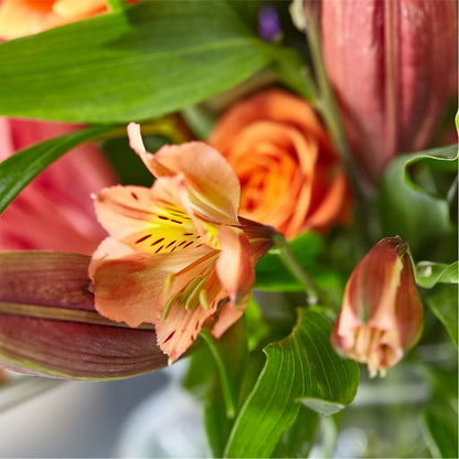 Bold & Bright – A Florist Original – L & M FLOWER SHOP, Canonsburg PA