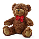 Adorable Plush Bear – L & M FLOWER SHOP, Canonsburg PA