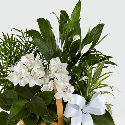 Peace & Serenity Dishgarden – L & M FLOWER SHOP, Canonsburg PA