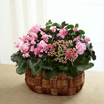 Pink Assortment – L & M FLOWER SHOP, Canonsburg PA