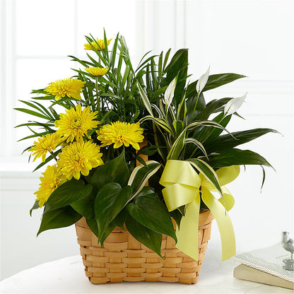 Loving Light Dishgarden – L & M FLOWER SHOP, Canonsburg PA