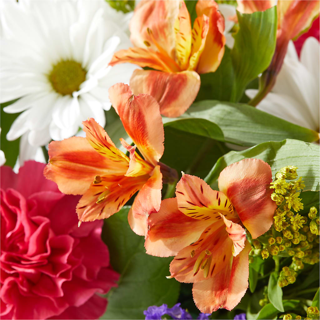 Oopsie Daisy Box Bouquet – L & M FLOWER SHOP, Canonsburg PA