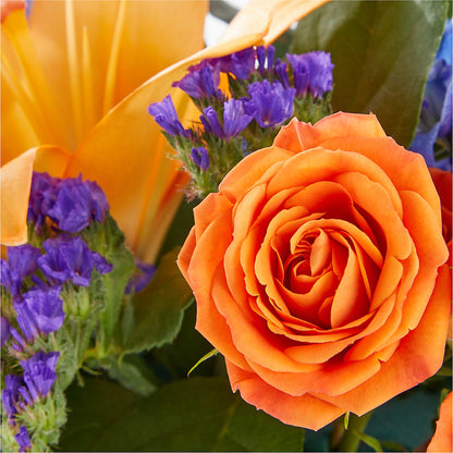 Radiant Citrus Box Bouquet – L & M FLOWER SHOP, Canonsburg PA