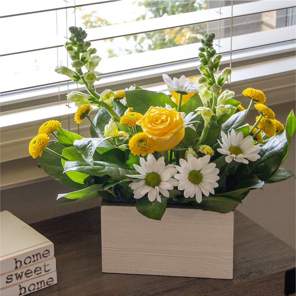 Sun Salutation Box Bouquet – L & M FLOWER SHOP, Canonsburg PA