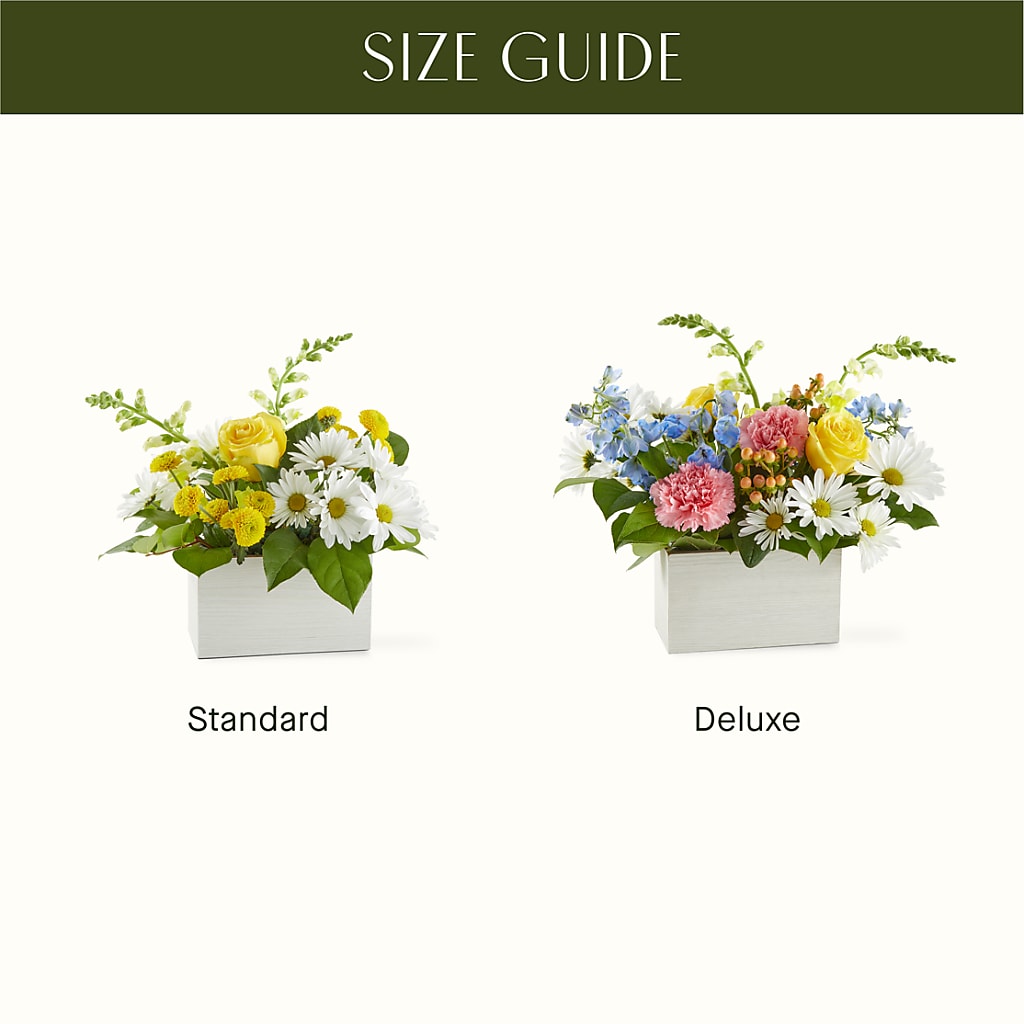 Sun Salutation Box Bouquet – L & M FLOWER SHOP, Canonsburg PA
