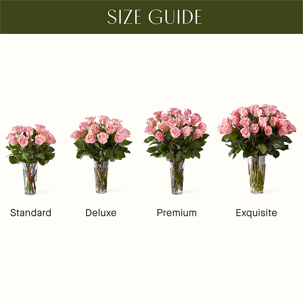 Long Stem Pink Rose Bouquet – L & M FLOWER SHOP, Canonsburg PA