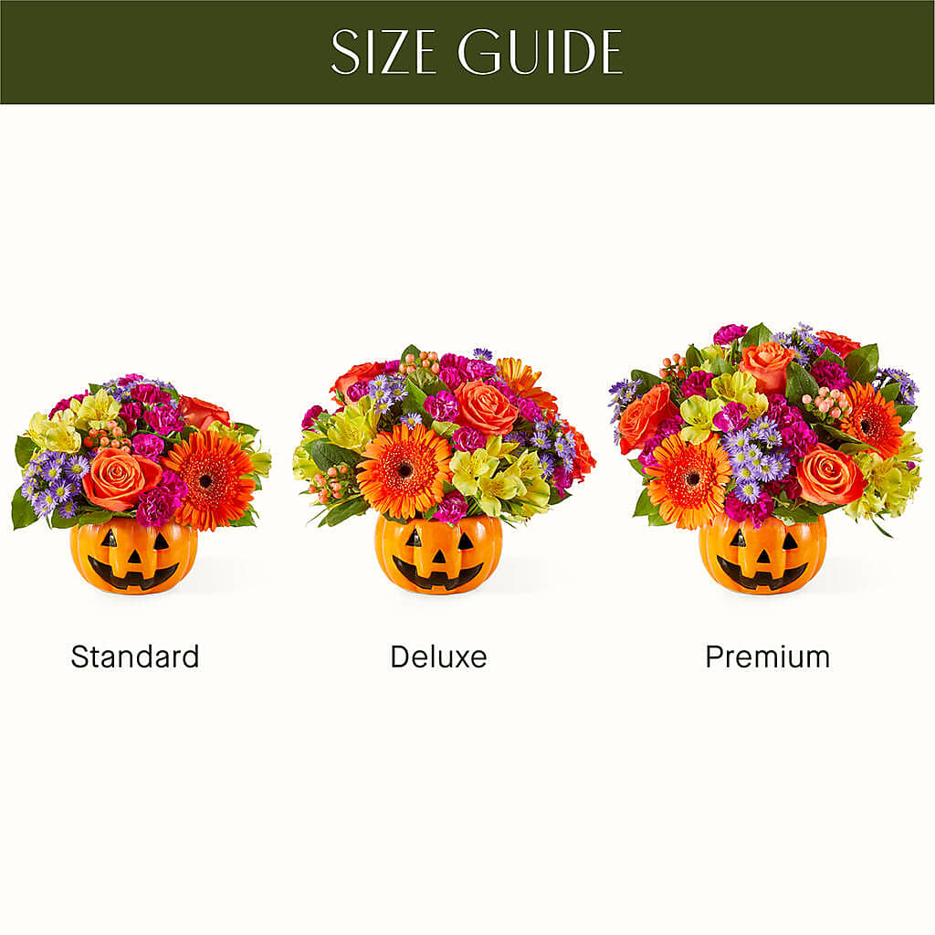 Tricks & Treats Pumpkin – L & M FLOWER SHOP, Canonsburg PA