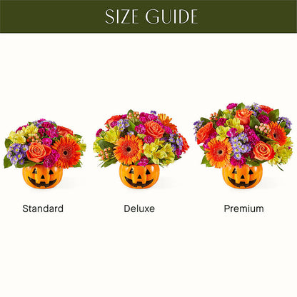 Tricks & Treats Pumpkin – L & M FLOWER SHOP, Canonsburg PA
