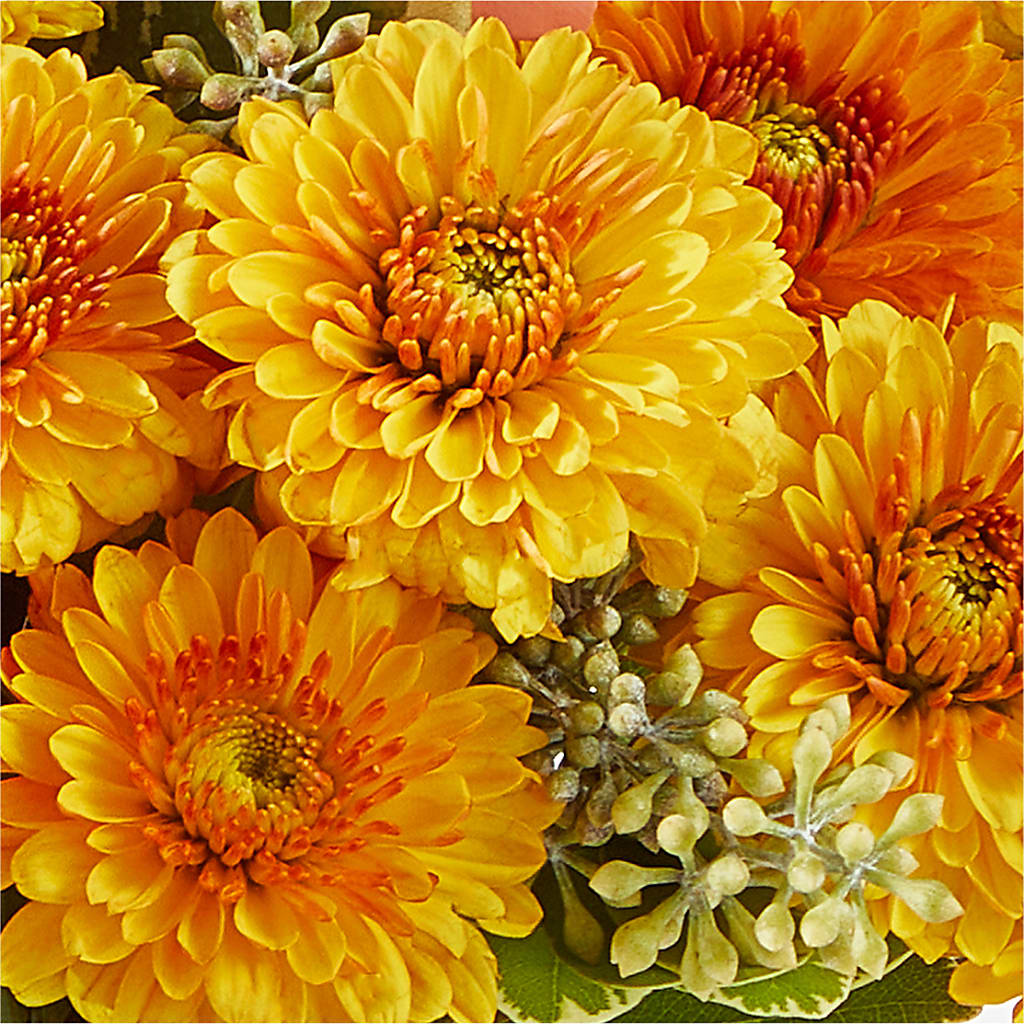 Peachy Pumpkin – L & M FLOWER SHOP, Canonsburg PA