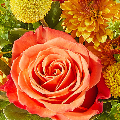 Gourdgeous Pumpkin – L & M FLOWER SHOP, Canonsburg PA