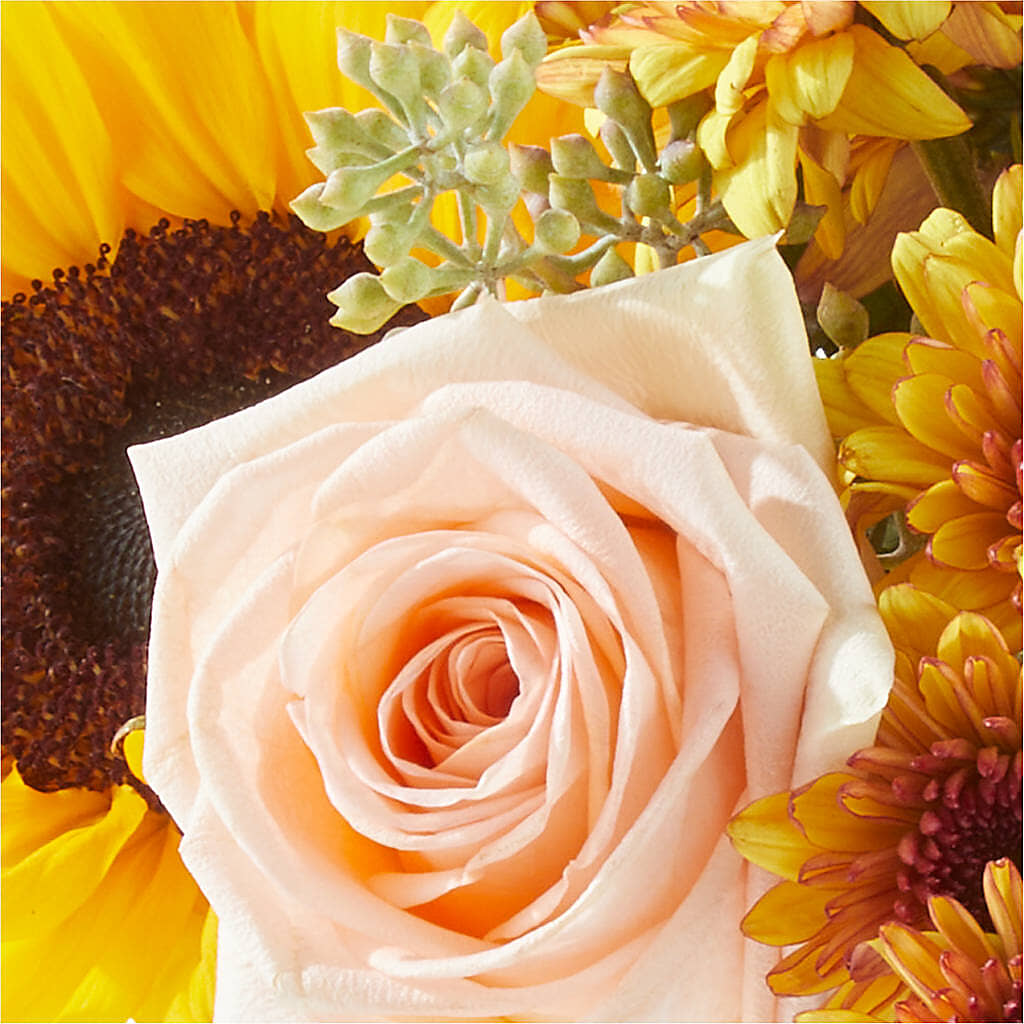 Pumpkin to Talk About Bouquet – L & M FLOWER SHOP, Canonsburg PA