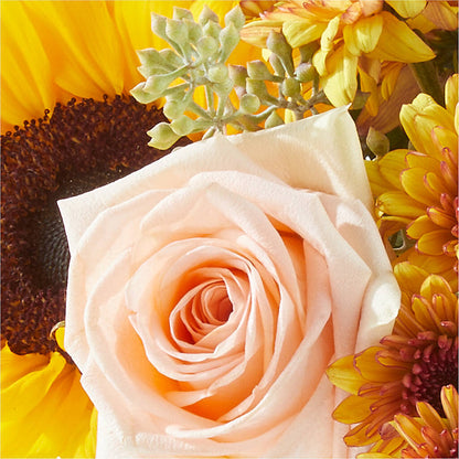 Pumpkin to Talk About Bouquet – L & M FLOWER SHOP, Canonsburg PA