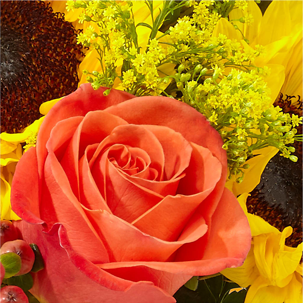 Pick of the Patch Pumpkin Bouquet – L & M FLOWER SHOP, Canonsburg PA