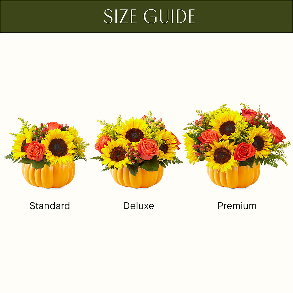 Pick of the Patch Pumpkin Bouquet – L & M FLOWER SHOP, Canonsburg PA