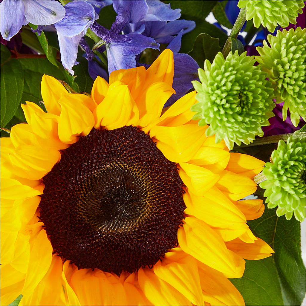 Catching Rays Bouquet – L & M FLOWER SHOP, Canonsburg PA