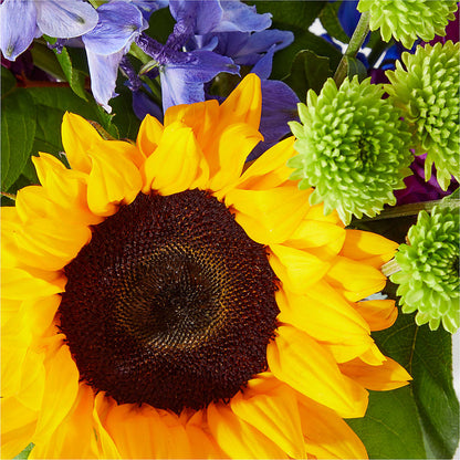 Catching Rays Bouquet – L & M FLOWER SHOP, Canonsburg PA