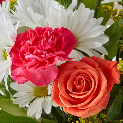 Oopsie Daisy Bouquet – L & M FLOWER SHOP, Canonsburg PA