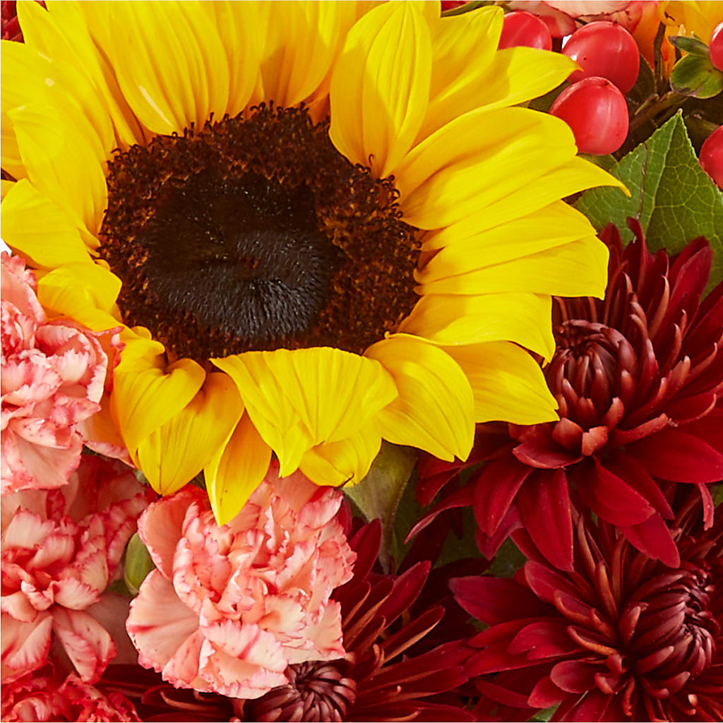 Fresh Cider Bouquet – L & M FLOWER SHOP, Canonsburg PA