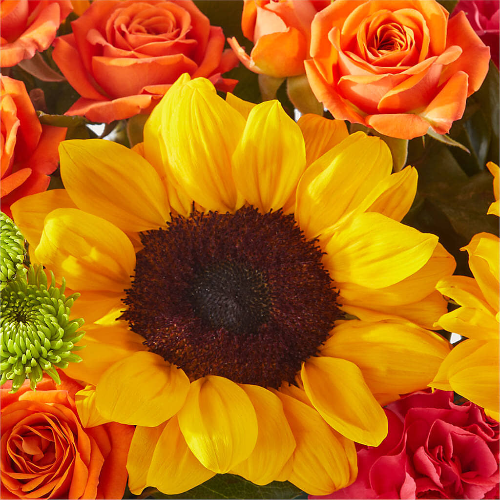 Sun-drenched Blooms Box Bouquet – L & M FLOWER SHOP, Canonsburg PA