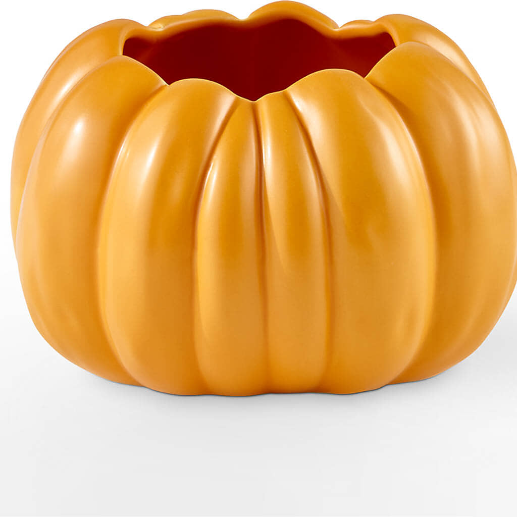 Golden Gourd Pumpkin Bouquet – L & M FLOWER SHOP, Canonsburg PA