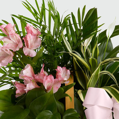 Living Spirit Dishgarden – L & M FLOWER SHOP, Canonsburg PA