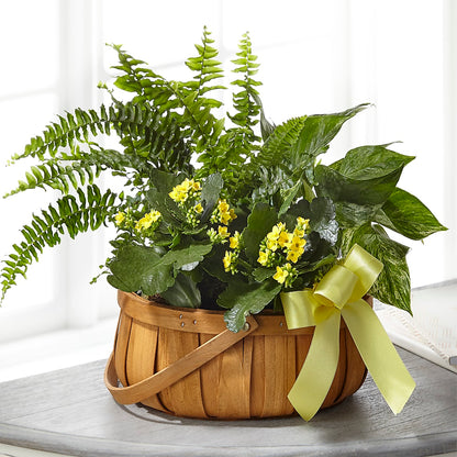 Always Dear Dishgarden – L & M FLOWER SHOP, Canonsburg PA