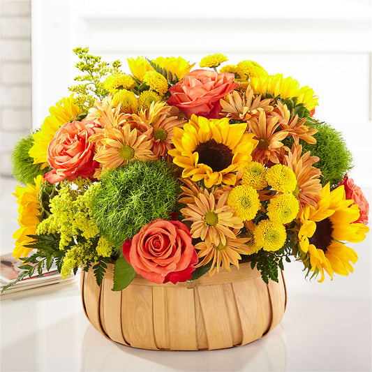 Harvest Sunflower Basket – L & M FLOWER SHOP, Canonsburg PA