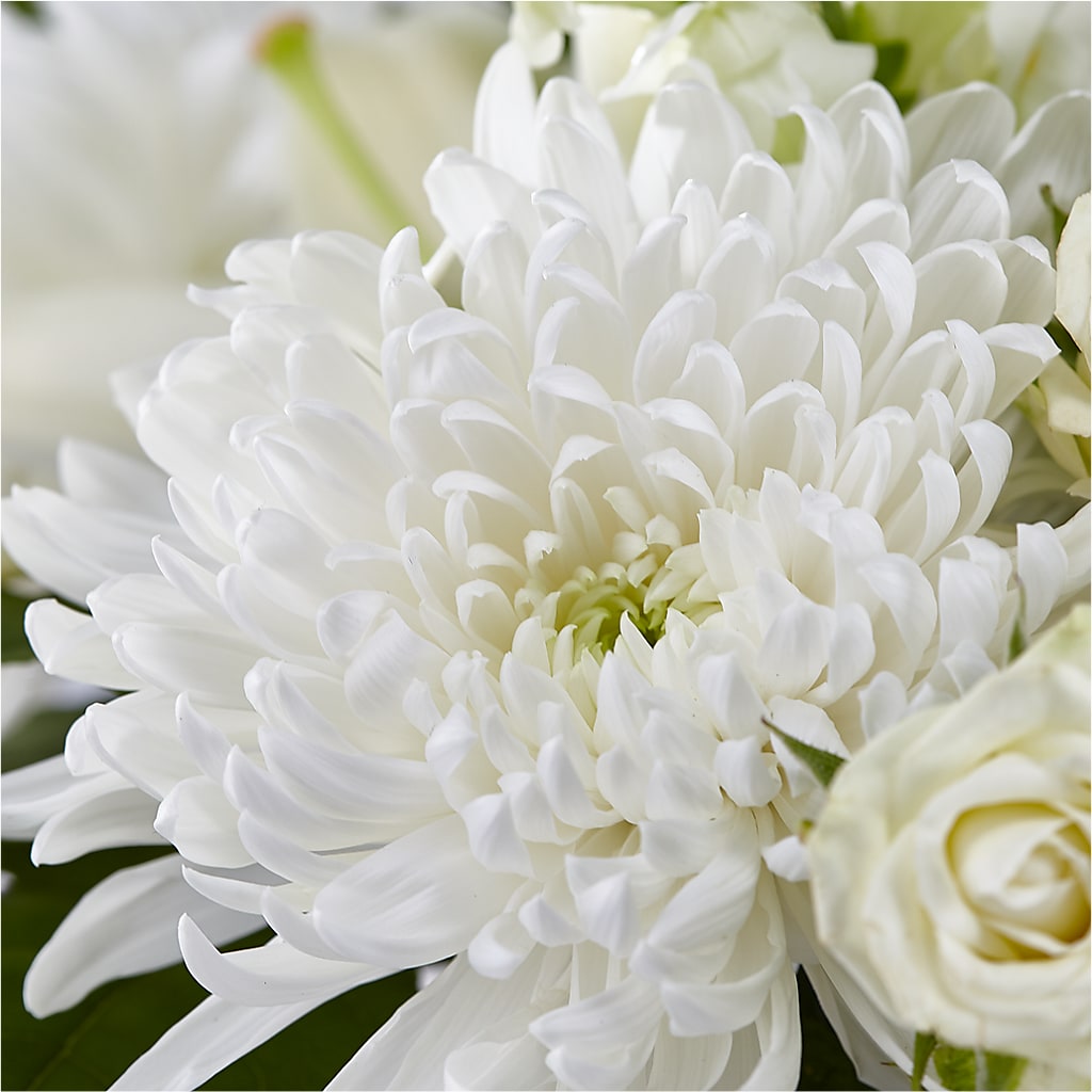 Classic Ivory – A Florist Original – L & M FLOWER SHOP, Canonsburg PA