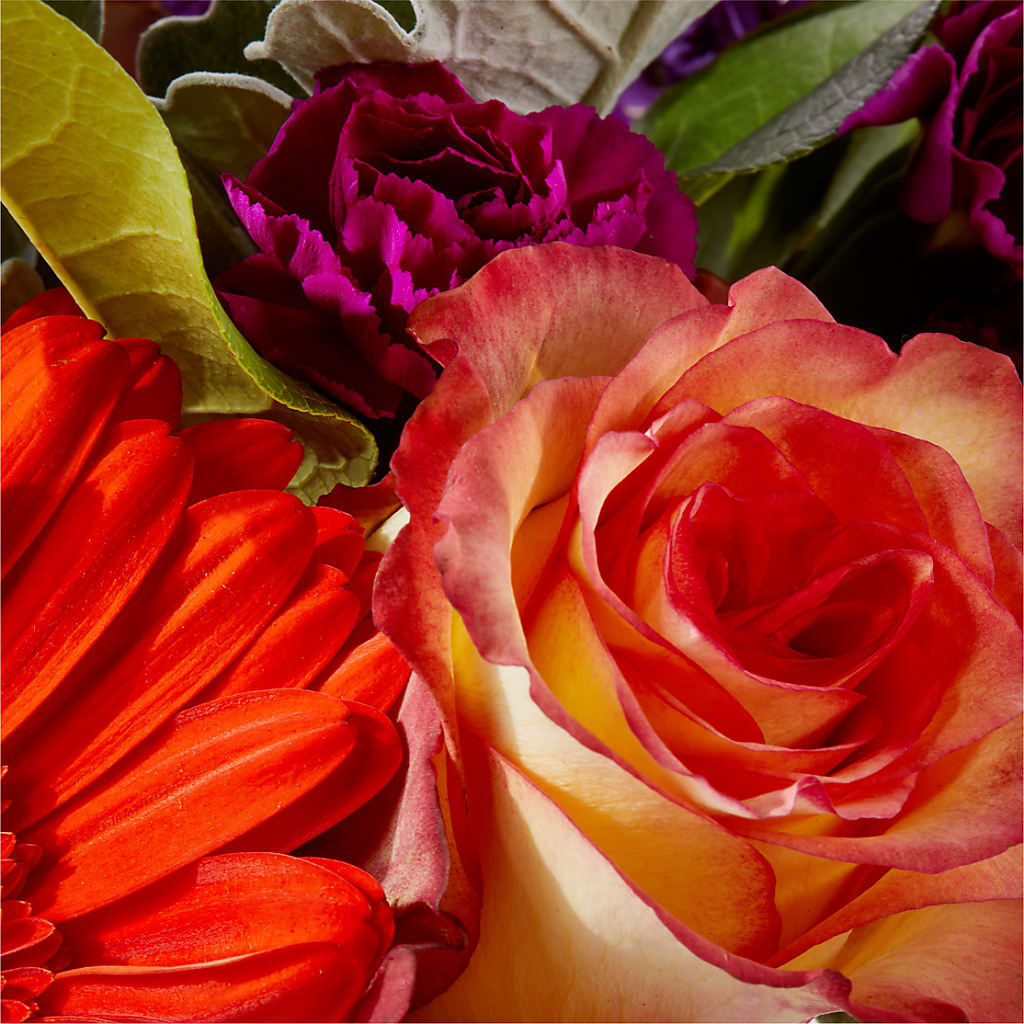 Sangria Bouquet – L & M FLOWER SHOP, Canonsburg PA