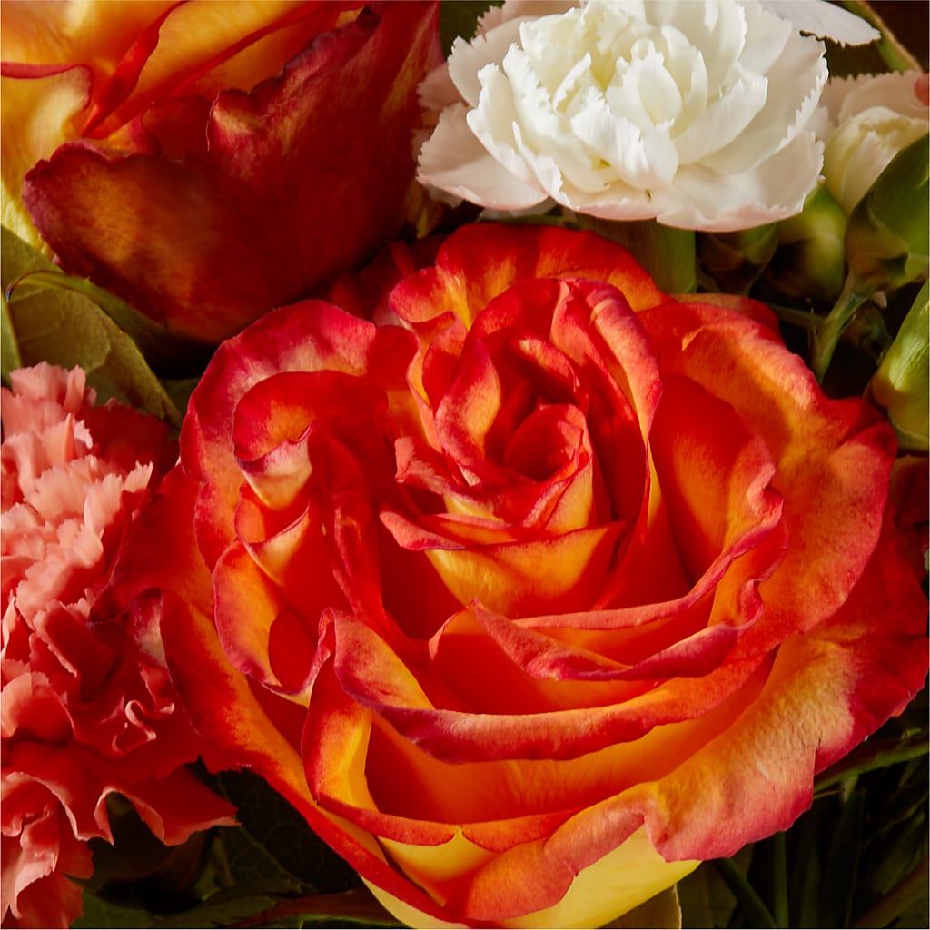 Apricot Glow Bouquet – L & M FLOWER SHOP, Canonsburg PA