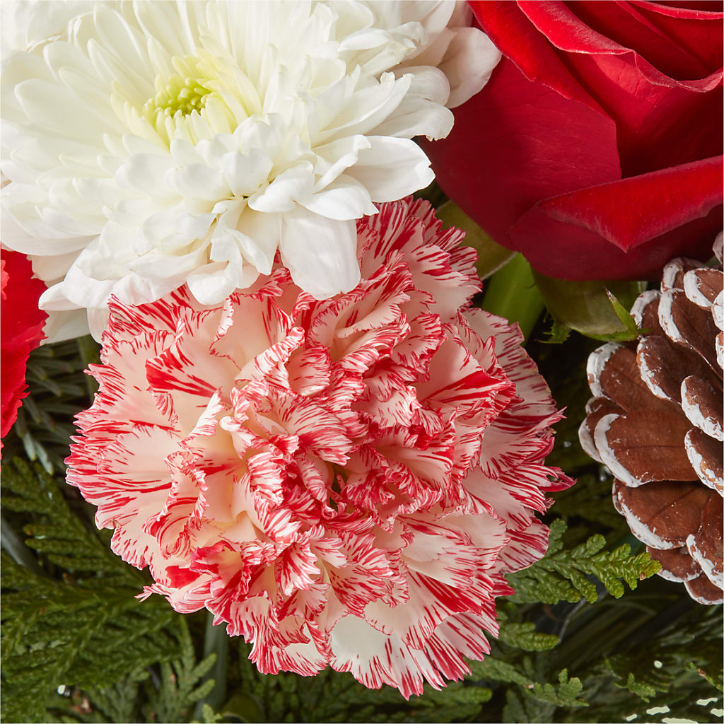 Candy Cane Lane Bouquet – L & M FLOWER SHOP, Canonsburg PA