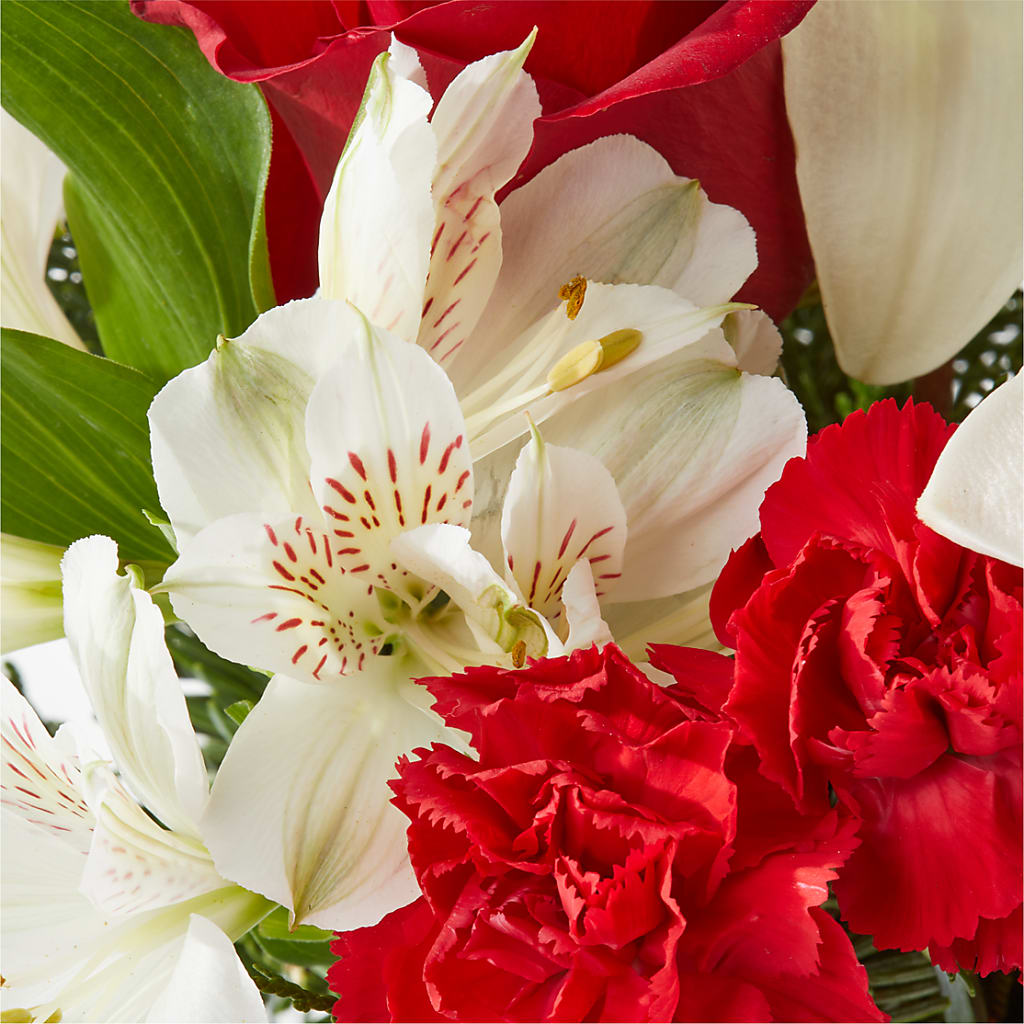 Holiday Season Bouquet – L & M FLOWER SHOP, Canonsburg PA
