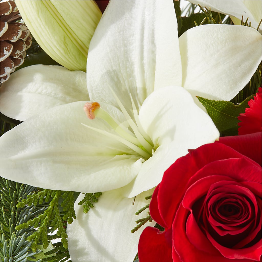 Oh So Jolly Bouquet – L & M FLOWER SHOP, Canonsburg PA