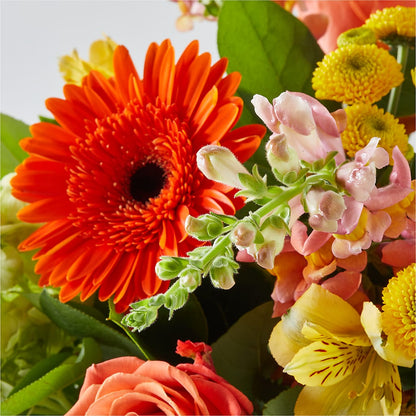 Autumn Sunshine Bouquet – L & M FLOWER SHOP, Canonsburg PA