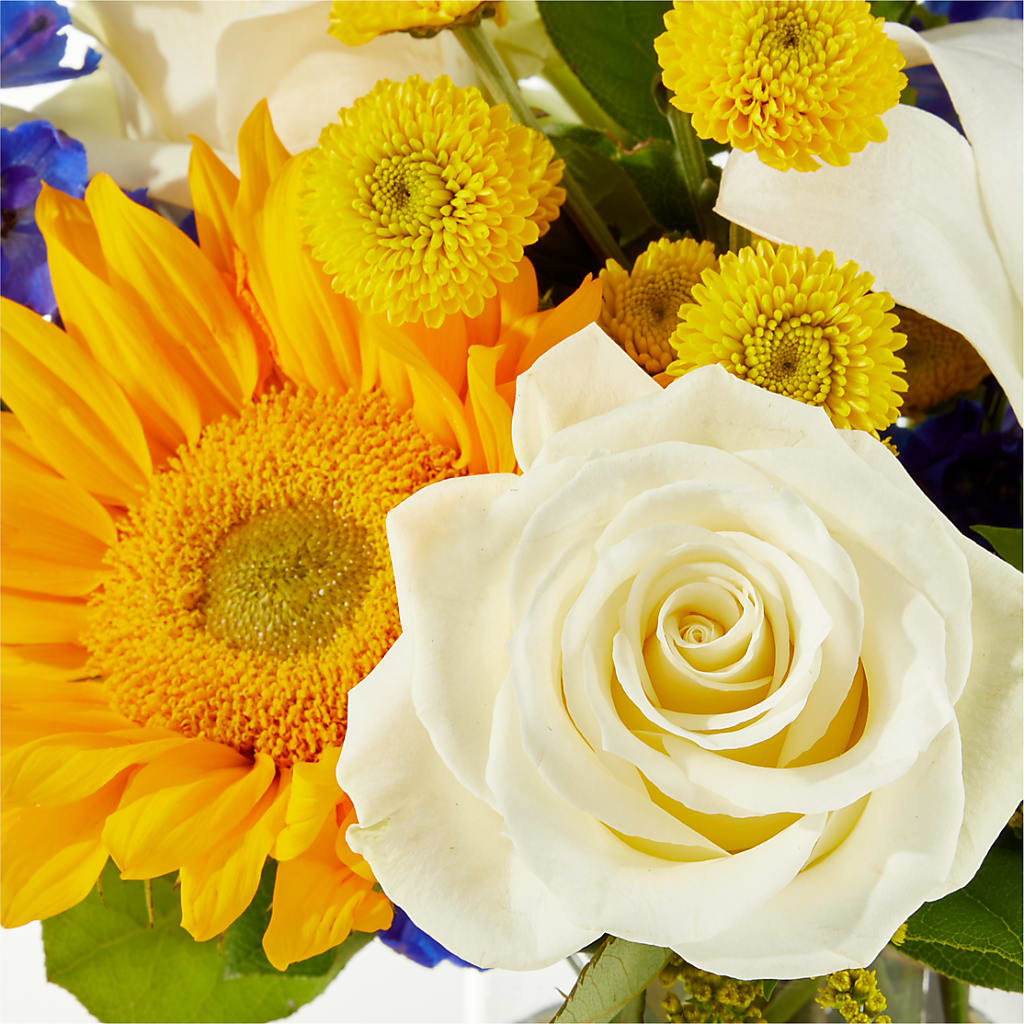 Stargazing Bouquet – L & M FLOWER SHOP, Canonsburg PA