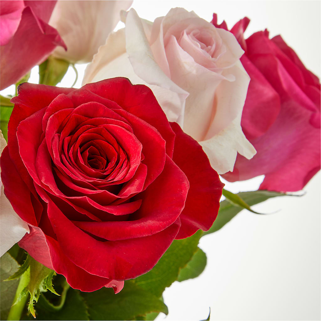 Charming Rose Bouquet – L & M FLOWER SHOP, Canonsburg PA